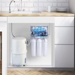 The expiry date of the water purifier