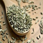 Fresh Fennel Seeds; Improve Eyesight Regulate Pressure 3 Mineral Selenium Calcium Zinc