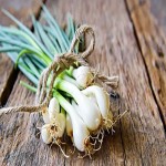 Spring Onion Today (Scallions) Mild Taste 2 Consumption Method Raw Cooked