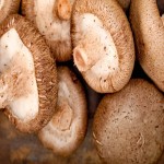 Shiitake Mushroom in India (Lentinula Edodes) Robust Meaty Flavor White Brown Color