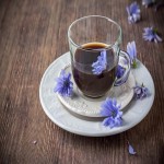 Chicory Root Extract (Blue Sailors) Bitter Taste 2 Vitamins C B6