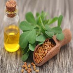 Fenugreek Extract Oil; Distinctive Warm Woodsy Scent Skin Disease Reducer