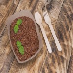 Red Rice (Oryza Punctata) Low Carbohydrate Insulin Regulator Improve Digestive System