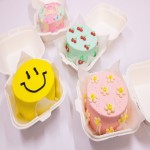 Lunch Box Cake; Anime Manga Decorated Minimal Style Small Size