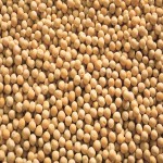Korando Yellow Peas; Organic 3 Mineral Magnesium Potassium Calcium Reduce Heart Disease