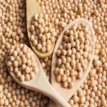 Vatana Yellow Peas; Uniform Shape 3 Minerals Calcium Iron Potassium
