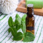 Korean Mint Extract; Antimicrobial Antifungal 3 Vitamins A E D Content