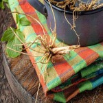 Valerian Root Plant; Green Yellow Colors Natural Pain Reliever