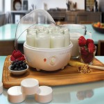 Electric Curd Making Machine; Steel Plastic Types Heat Resistant