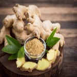 Zingiber Officinale Flower (Common Ginger) Yellow Brown Colors