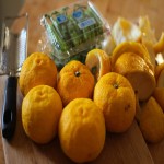 Yuzu Seed Extract; Flavoring Antioxidant Fiber Vitamin Source Mind Improver