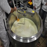 Commercial Curd Making Machine; Automatic Strong Durable Materials Temperature Control