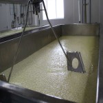 Cheese Curd Making Machine; Stainless Steel Plastic 2 Types Manual Automatic