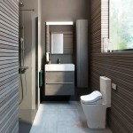 Roca Sanitary Ware; Vitreous China Porcelain Acrylic Materials Reducing Water Consumption