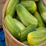 Mini Munch Cucumber; Mild Sweet Flavors Potassium Vitamin K