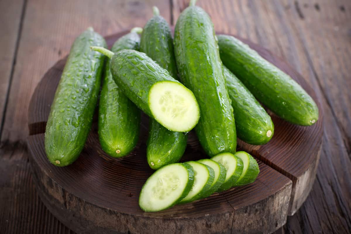 Bumpy Japanese Cucumber (Kagurazaka Cucumber) Sweet Crunchy Flesh Greenish-yellow