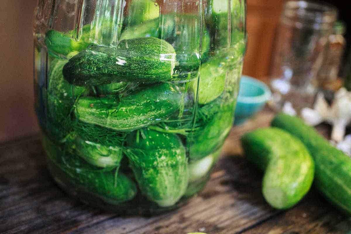 Lebanese Baby Cucumber; Small Round Appearance Vitamins (A B C)