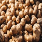 Today Potato Rate in Hooghly; Mild Sweet Mild Sweet Round Shape