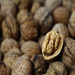 Price and Purchase Black Walnut with Complete Specifications