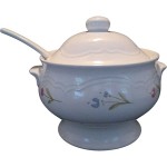 Porcelain Bowl with Lid Buying Guide with Special Conditions and Exceptional Price