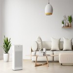 White Sofa Living Room Acquaintance from Beginning to End Bulk Purchase Prices