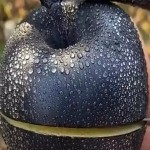 Explore the Rise of Black Apple as a Revolutionary Product