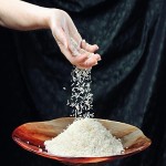 Understand Parmal Rice Price in Punjab with Insights for Traders