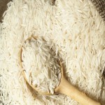 What Is the Future of Paddy Price in Punjab 2023 with Challenges?