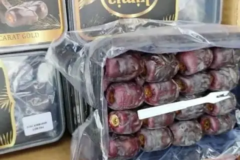 Purchase of Grade 1 Mazafati and Zahidi Dates EXW