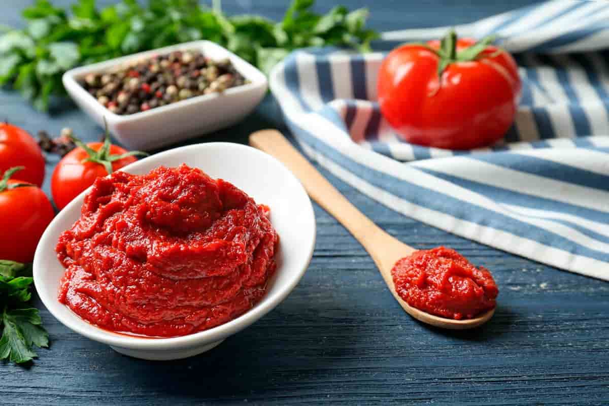 tomato paste pasta flavor| buy at a cheap price