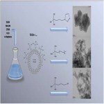 silica nanoparticles wholesale suppliers good quality