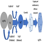 Find High Quality Silver Nanoparticles for Multiple Uses + buy