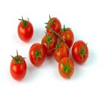 Price and Purchase Cherry Tomatoes with Complete Specifications