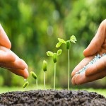 Bulk Purchase of types of nano fertilizers with the Best Conditions