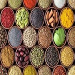 Types of Spices Buying Guide with Special Conditions and Exceptional Price