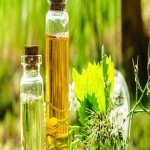 Learning to Buy Herbal extracts from Beginning to End