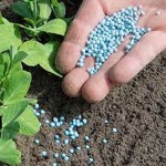 Nano Fertilizer Buying Guide with Special Conditions and Exceptional Price