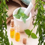 Types of Medicinal Plants Buying Guide with Special Conditions and Exceptional Price