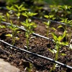 The Price of Bulk Purchase of Drip Irrigation Tape is Cheap and Reasonable