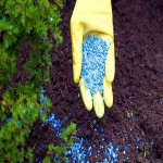 nanoscale additive fertilizers  with Complete Explanations and Familiarization