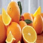 Navel Oranges Buying Guide with Special Conditions and Exceptional Price