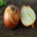 Bulk Purchase of Specialty Sweet Onion with the Best Conditions