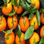 Clementine Oranges with Complete Explanations and Familiarization