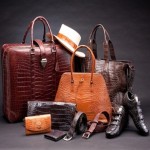 leather shoes and matching bag + best buy price