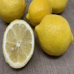 Eureka Lemon Specifications and How to Buy in Bulk