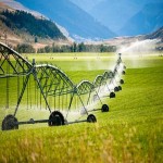 Irrigation Systems Acquaintance from Beginning to End Bulk Purchase Prices