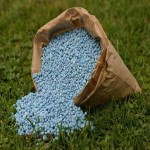 Nitrogen Fertilizers Buying Guide with Special Conditions and Exceptional Price