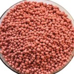 Learning to Buy Phosphorus Fertilizers from Beginning to End