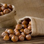 Raw Hazelnuts with Complete Explanations and Familiarization