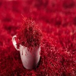 Learning to Buy Sargol Saffron from Beginning to End